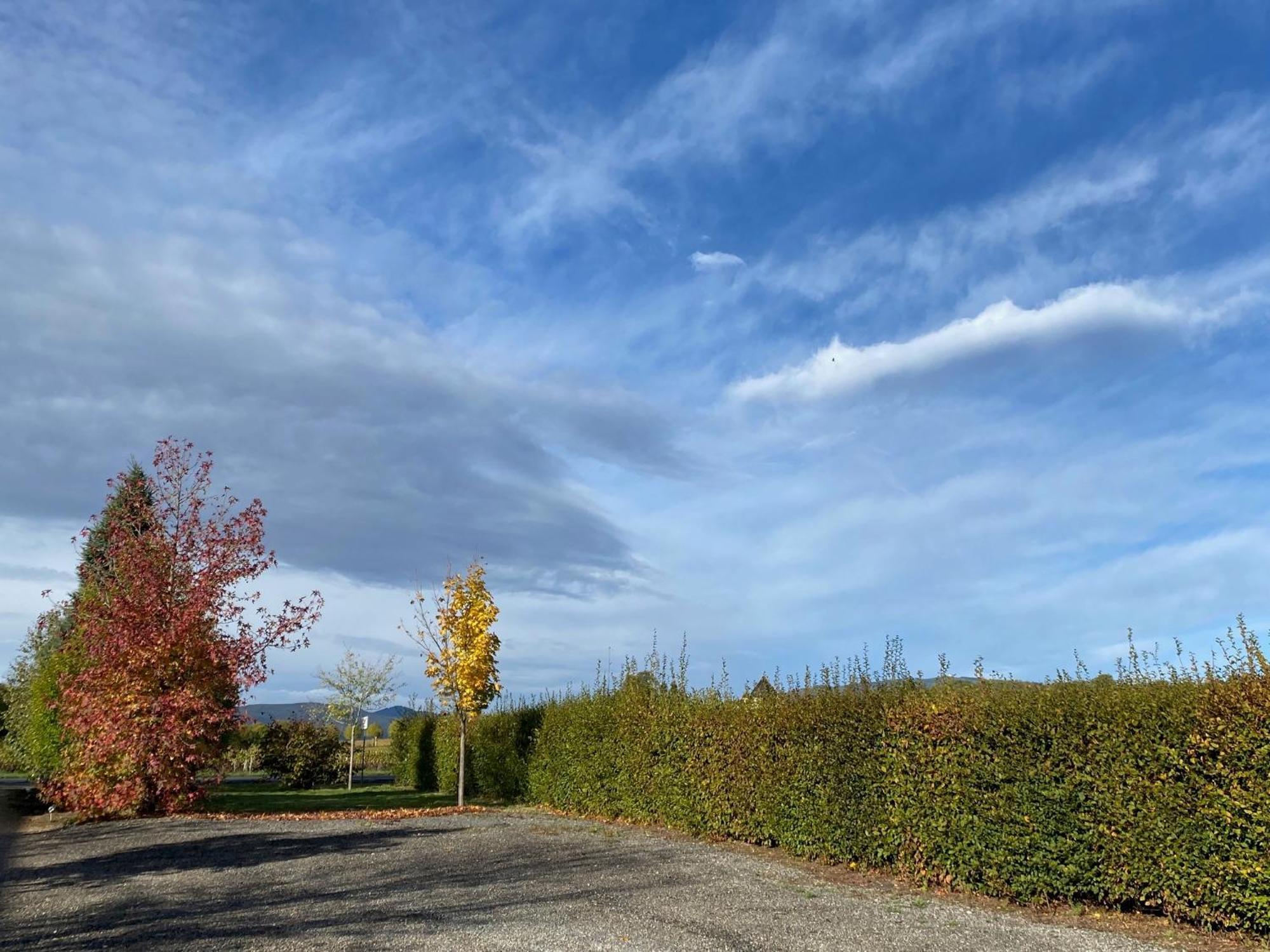 Domaine De La Noiseraie - Suites Spacieuses Belleville-sur-Saône Buitenkant foto